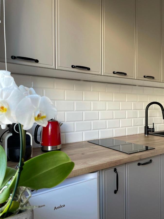 Apartament -Dwudziestka サンドミエシュ エクステリア 写真